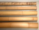 BAMBUSROHR - Durchmesser 8-10 cm - mit Schale | FLAIR COLLECTION