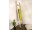 TUVALU Handtuchleiter - Bambusleiter - Farbe Weiß | FLAIR COLLECTION