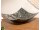 TAROA Muschelschale aus Perlmutt - 27 cm - Dunkel | SHELL COLLECTION