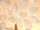 FELIDU Stehlampe aus Capiz Muscheln - Höhe 150 cm | SHELL COLLECTION