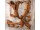 KINADA Teakholz Wandbild - 80x80 - Wanddeko aus Wurzelholz Querschnitt | WOOD COLLECTION