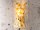 BANYAN Wandlampe mit Frangipani Muster aus Capiz Muscheln - Höhe 35 cm | SHELL COLLECTION