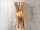 TIERRA Wandlampe mit Streifen aus Perlmut - Farbe Natur | SHELL COLLECTION