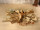 AMAZONAS Couchtisch aus Teak-Wurzelholz - Rechteck - 80x60 - 110x70 - 120x80 cm