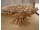AMAZONAS Esstisch aus Teak-Wurzelholz - Rund Ø 140, 160 oder 180 cm | WOOD COLLECTION
