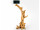 RINCA-6 Riesige Stehlampe aus Teak Wurzelholz - Höhe ca. 200 cm | WOOD COLLECTION