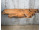 ROOT-6 Massive Tresenplatte / Waschtischplatte aus Teak Wurzelholz 153x62 | WOOD COLLECTION