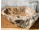 FOSSILE-12 Naturstein Handwaschbecken aus versteinertem Holz - 45x40xH15 | BADMÖBEL KOLLEKTION