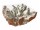 SHIMOGA Moderner Wurzelholz Couchtisch -Couchtisch aus Teak-Wurzelholz - Rechteck - Farbe Silber 140x70 | WOOD COLLECTION