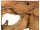 SUAR Gigantische Suar Holz Konsole - 250x60xH85 | WOOD COLLECTION