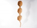 GINKGO Wanddeko oder Schale aus Teakholz - Länge 100 cm | WOOD COLLECTION